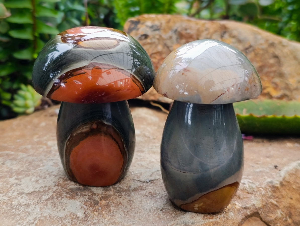 Polished Polychrome Jasper Mushrooms x 6 From NW Coast, Madagascar