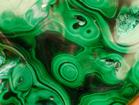 Polished Flower Banded Malachite Free Forms x 2 From Congo
