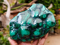 Polished Flower Banded Malachite Free Forms x 2 From Congo