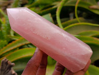 Polished Gemmy Rose Quartz Crystals x 3 From Madagascar