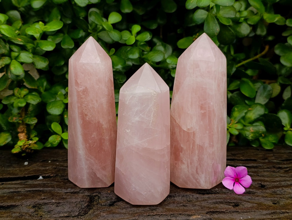 Polished Gemmy Rose Quartz Crystals x 3 From Madagascar