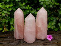 Polished Gemmy Rose Quartz Crystals x 3 From Madagascar