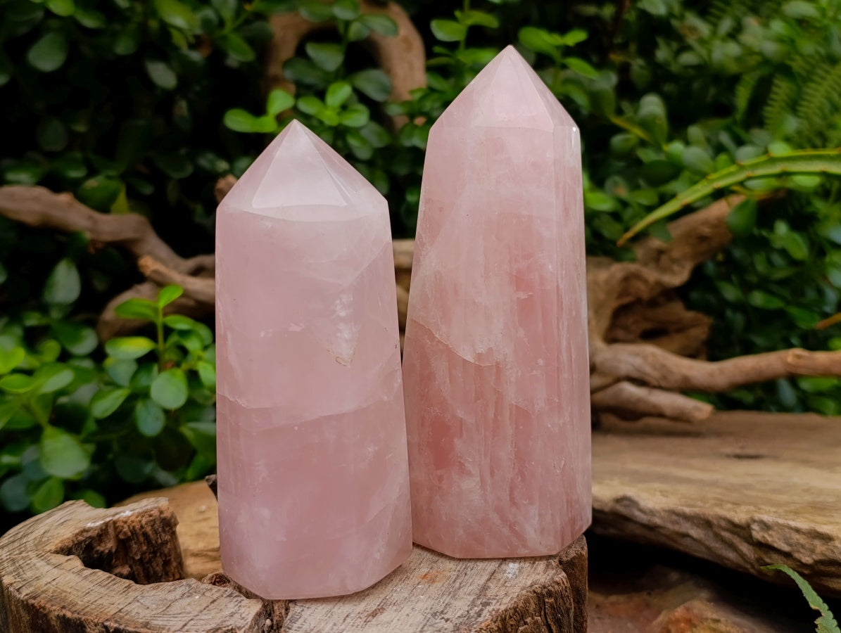 Polished Gemmy Rose Quartz Crystals x 3 From Madagascar
