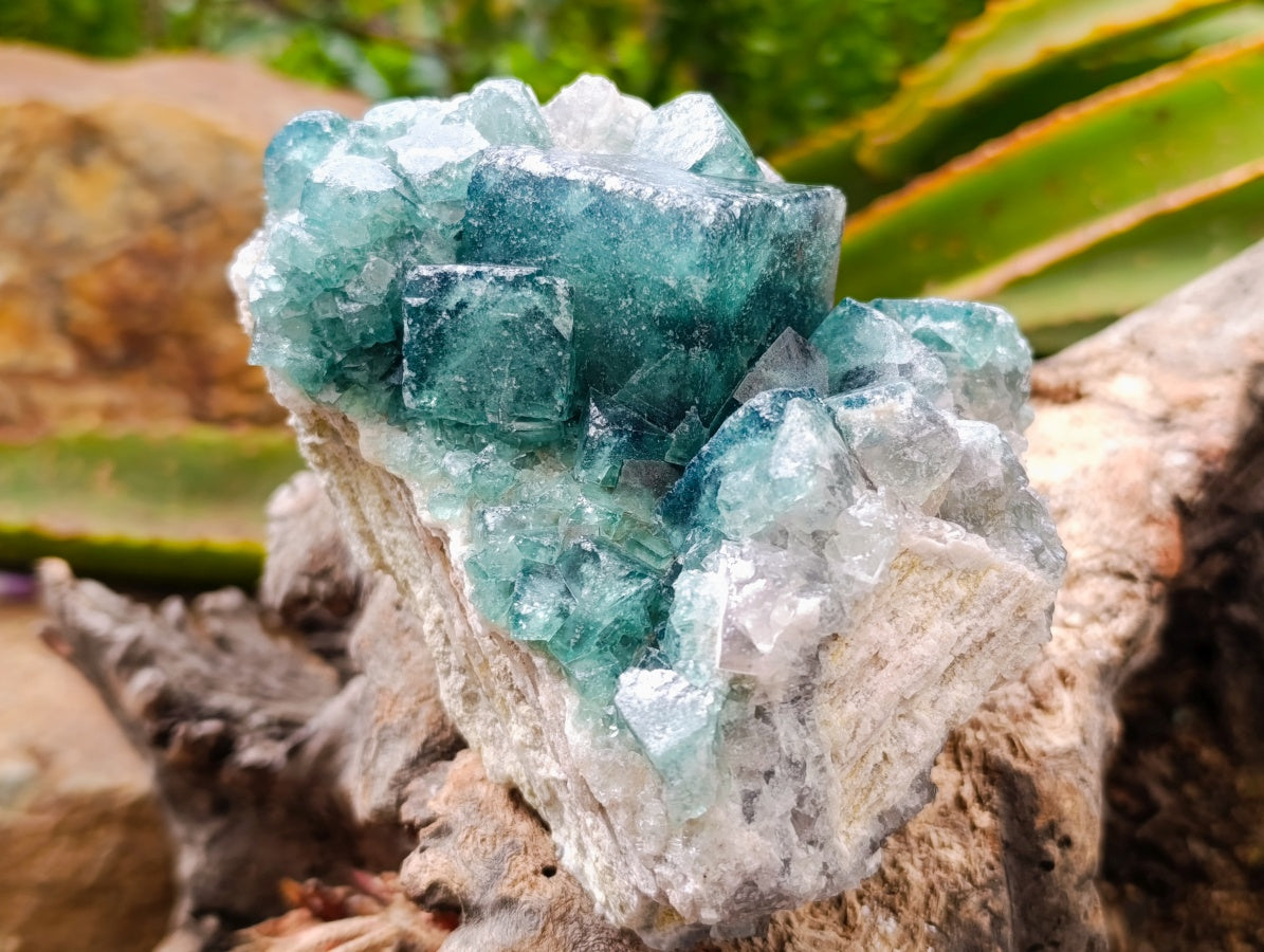 Natural Cubic Green Fluorite Cluster Specimens x 2 From Mandrosonoro, Madagascar