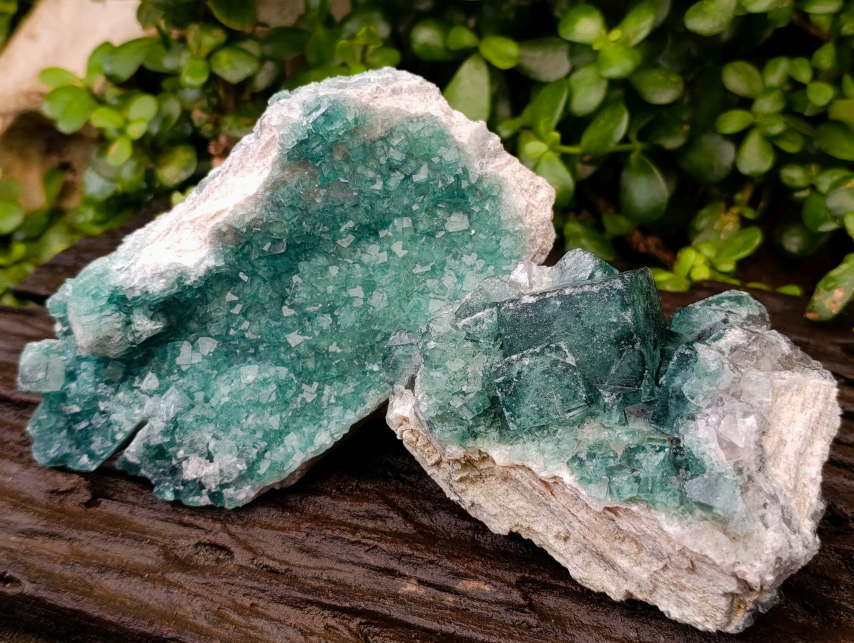 Natural Cubic Green Fluorite Cluster Specimens x 2 From Mandrosonoro, Madagascar - Toprock Gemstones and Minerals 