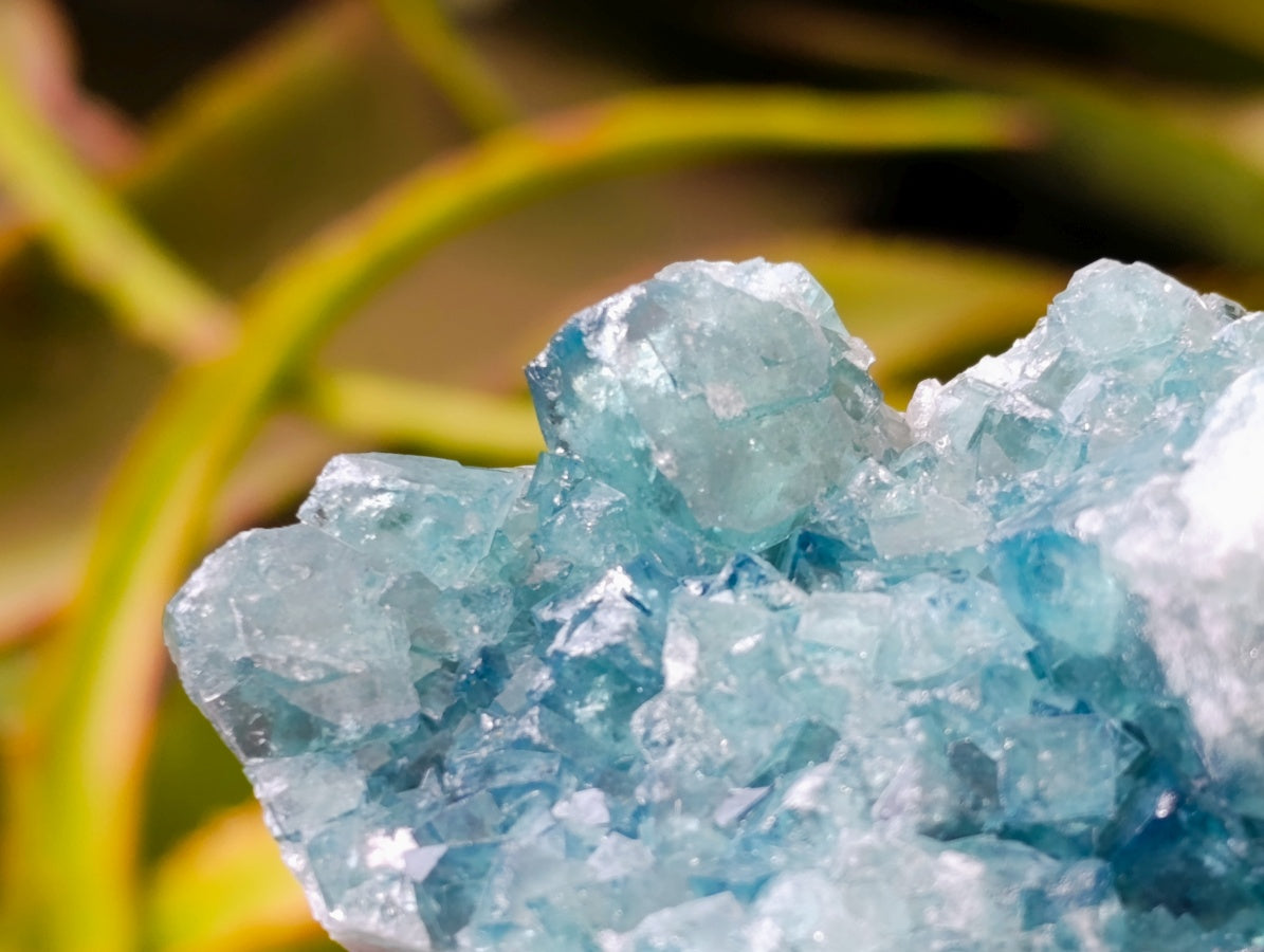 Natural Cubic Green Fluorite Cluster Specimens x 2 From Mandrosonoro, Madagascar - Toprock Gemstones and Minerals 