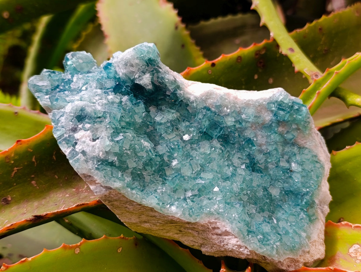 Natural Cubic Green Fluorite Cluster Specimens x 2 From Mandrosonoro, Madagascar - Toprock Gemstones and Minerals 
