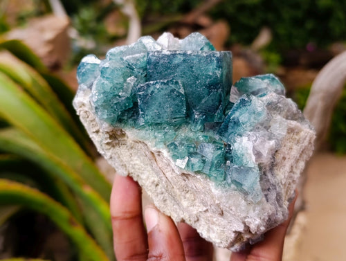 Natural Cubic Green Fluorite Cluster Specimens x 2 From Mandrosonoro, Madagascar - Toprock Gemstones and Minerals 