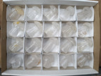 Polished Clear Quartz Mushrooms x 20 From Madagascar