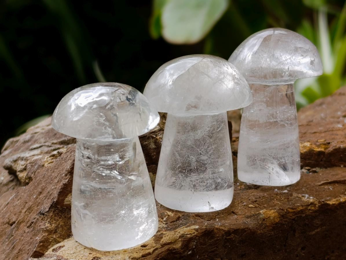 Polished Clear Quartz Mushrooms x 20 From Madagascar