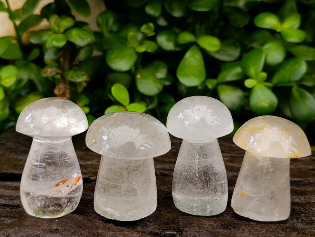 Polished Clear Quartz Mushrooms x 20 From Madagascar