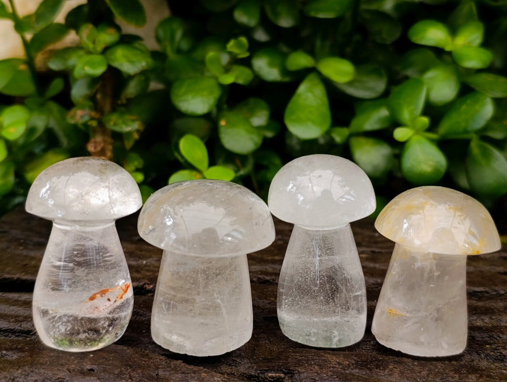 Polished Clear Quartz Mushrooms x 20 From Madagascar