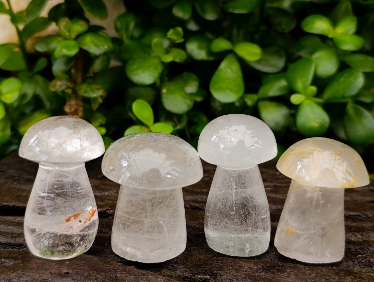 Polished Clear Quartz Mushrooms x 20 From Madagascar