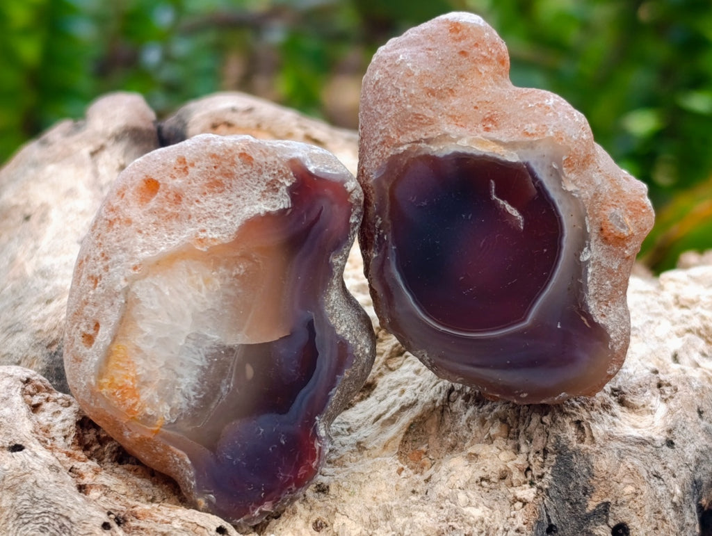 Polished On One Side Red Shashe River Agate Nodules x 35 From Shashe River, Zimbabwe
