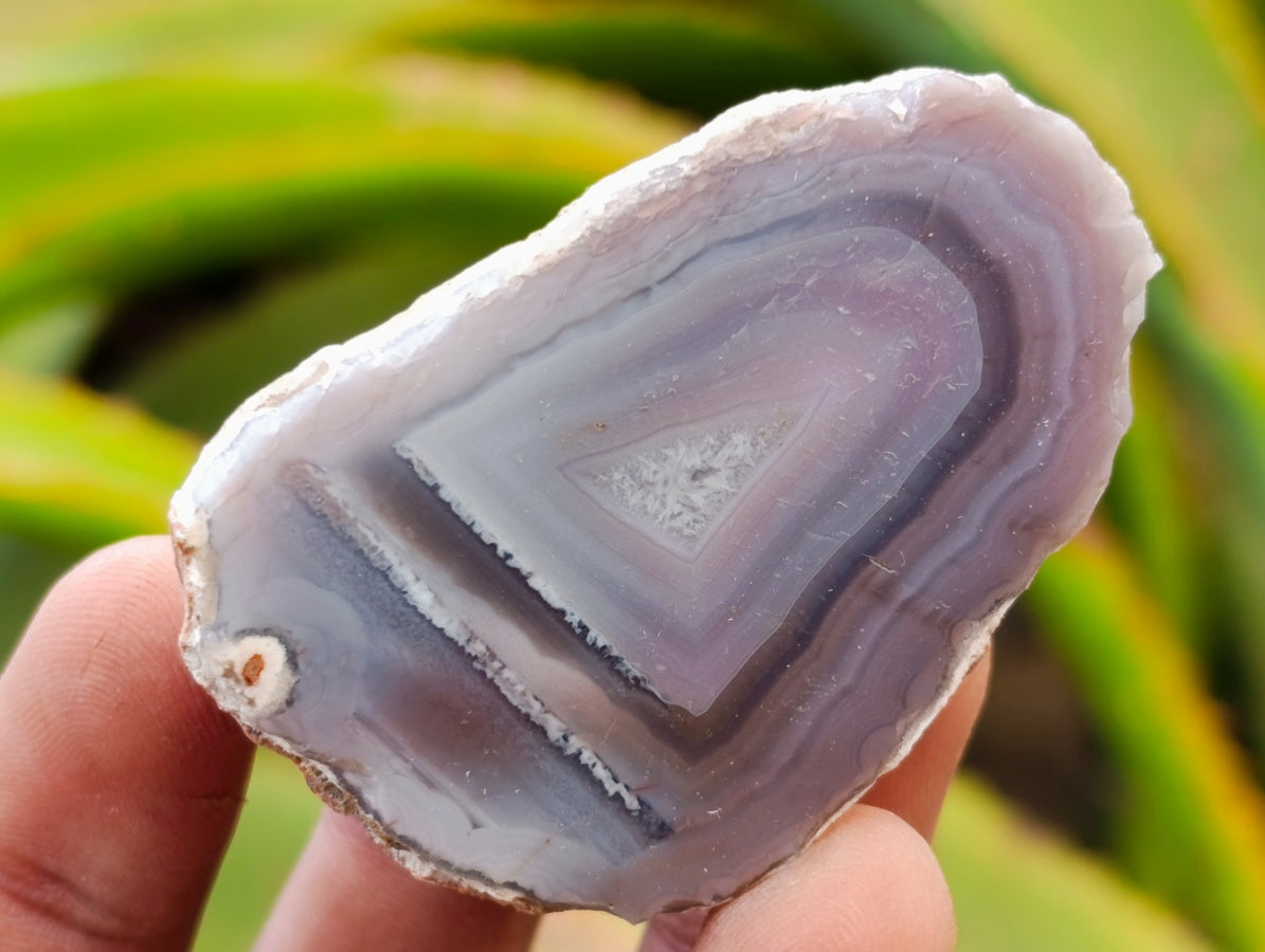 Polished On One Side Red Shashe River Agate Nodules x 35 From Shashe River, Zimbabwe