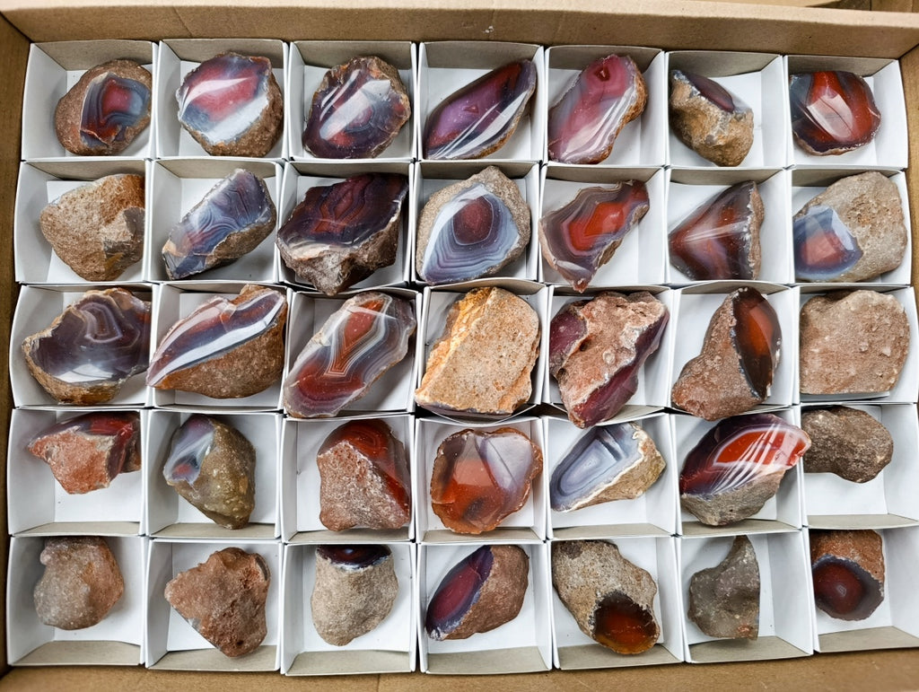 Polished On One Side Red Shashe River Agate Nodules x 35 From Shashe River, Zimbabwe