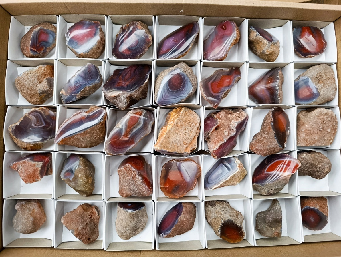 Polished On One Side Red Shashe River Agate Nodules x 35 From Shashe River, Zimbabwe