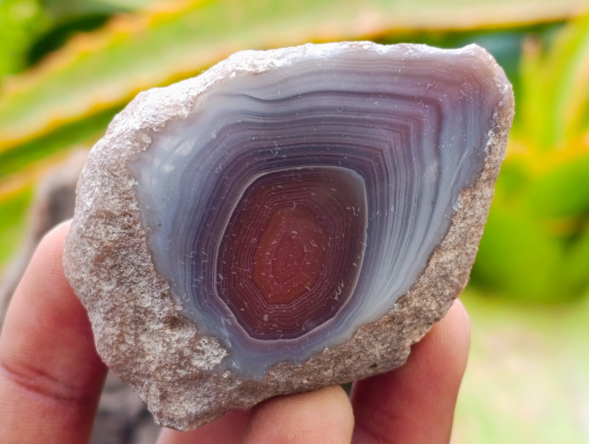 Polished On One Side Red Shashe River Agate Nodules x 35 From Shashe River, Zimbabwe