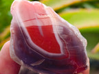 Polished On One Side Red Shashe River Agate Nodules x 35 From Shashe River, Zimbabwe