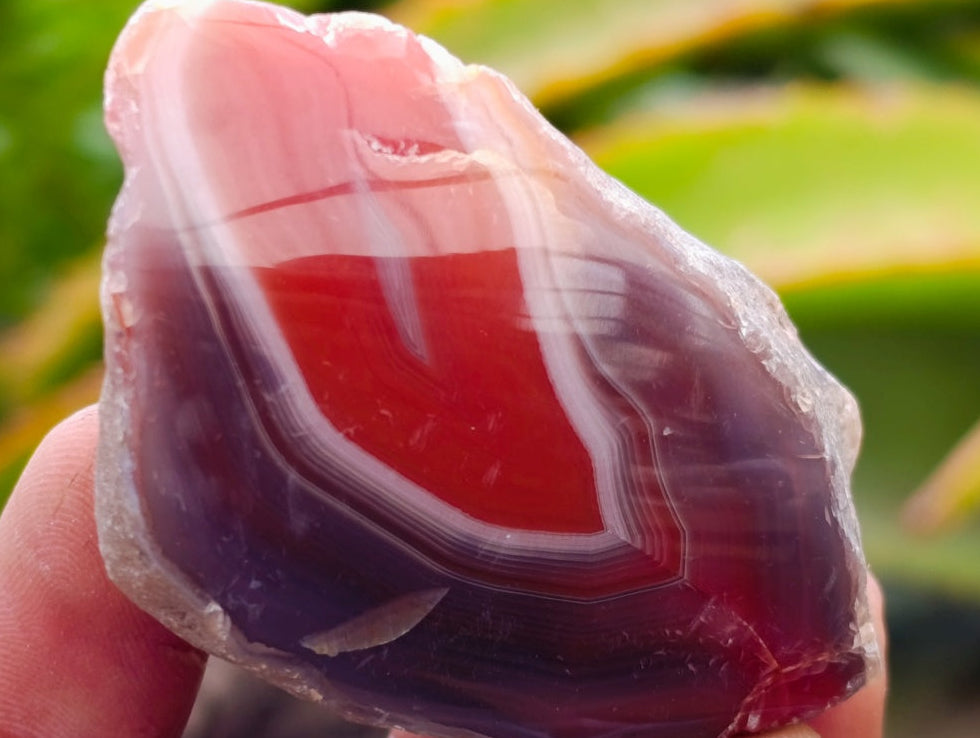 Polished On One Side Red Shashe River Agate Nodules x 35 From Shashe River, Zimbabwe