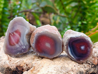 Polished On One Side Red Shashe River Agate Nodules x 35 From Shashe River, Zimbabwe