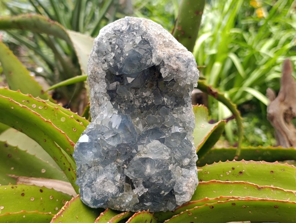 Natural Blue Celestite Specimens x 2 From Sakoany, Madagascar