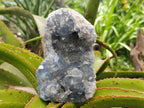 Natural Blue Celestite Specimens x 2 From Sakoany, Madagascar