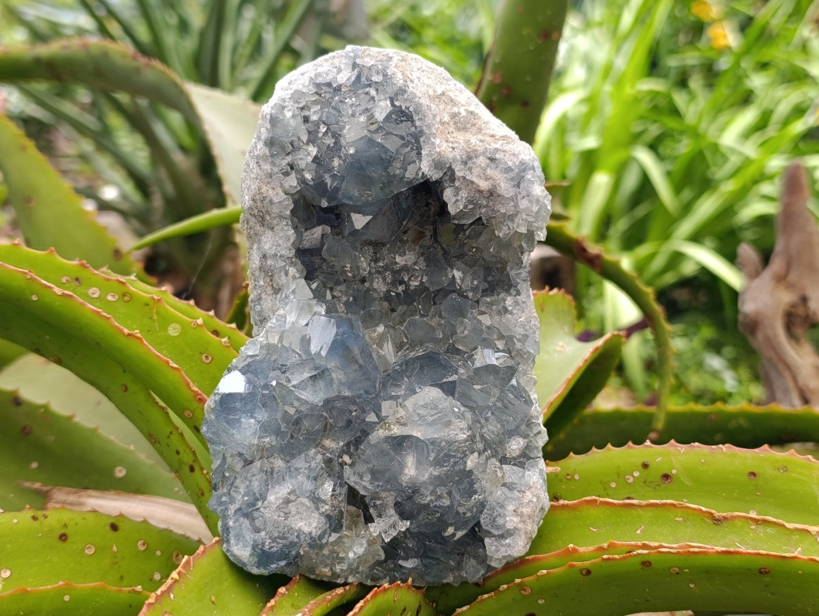 Natural Blue Celestite Specimens x 2 From Sakoany, Madagascar