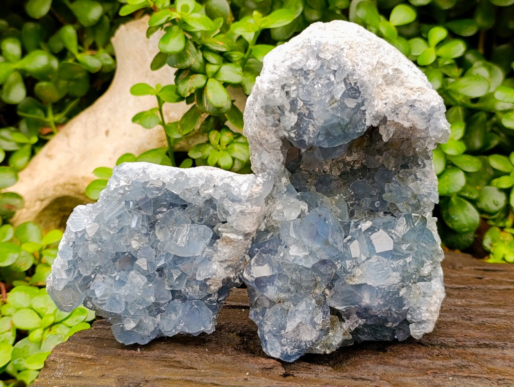 Natural Blue Celestite Specimens x 2 From Sakoany, Madagascar
