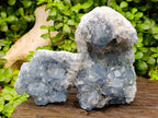 Natural Blue Celestite Specimens x 2 From Sakoany, Madagascar