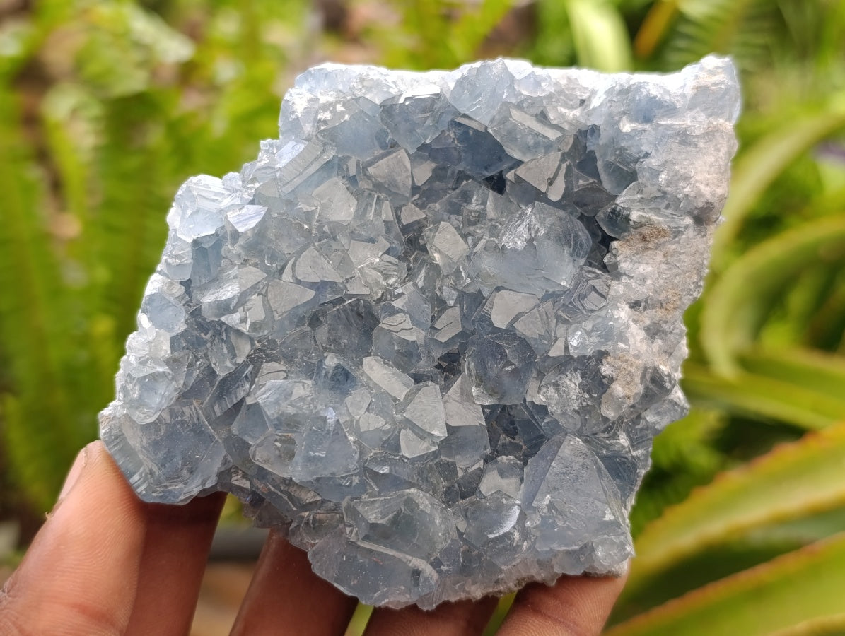 Natural Blue Celestite Specimens x 2 From Sakoany, Madagascar
