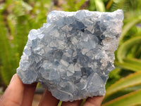 Natural Blue Celestite Specimens x 2 From Sakoany, Madagascar