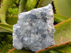 Natural Blue Celestite Specimens x 2 From Sakoany, Madagascar
