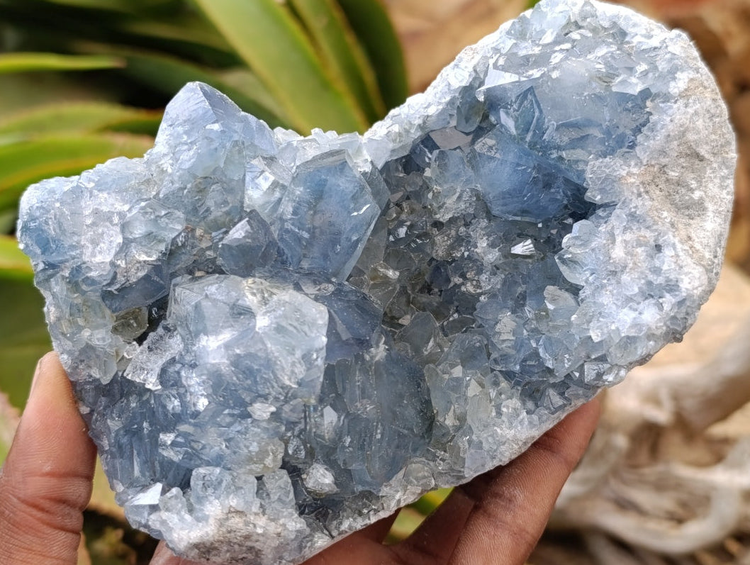 Natural Blue Celestite Specimens x 2 From Sakoany, Madagascar
