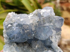 Natural Blue Celestite Specimens x 2 From Sakoany, Madagascar
