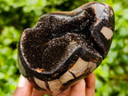 Polished Septerye Sauvage "Dragons Egg" Geode Standing Free Form x 3 From Mahajanga, Madagascar
