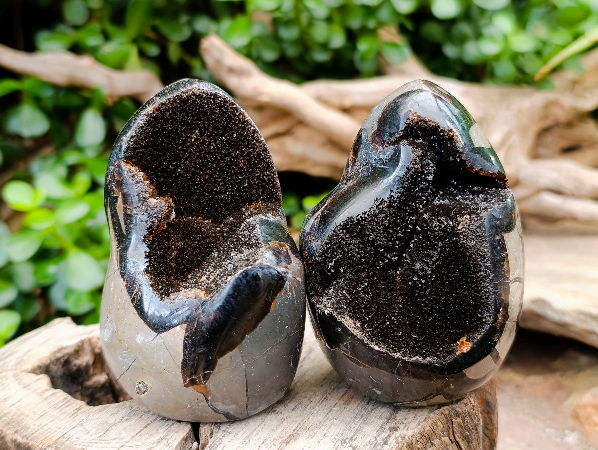 Polished Septerye Sauvage "Dragons Egg" Geode Standing Free Form x 3 From Mahajanga, Madagascar
