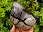 Polished Septerye Sauvage "Dragons Egg" Geode Standing Free Form x 3 From Mahajanga, Madagascar