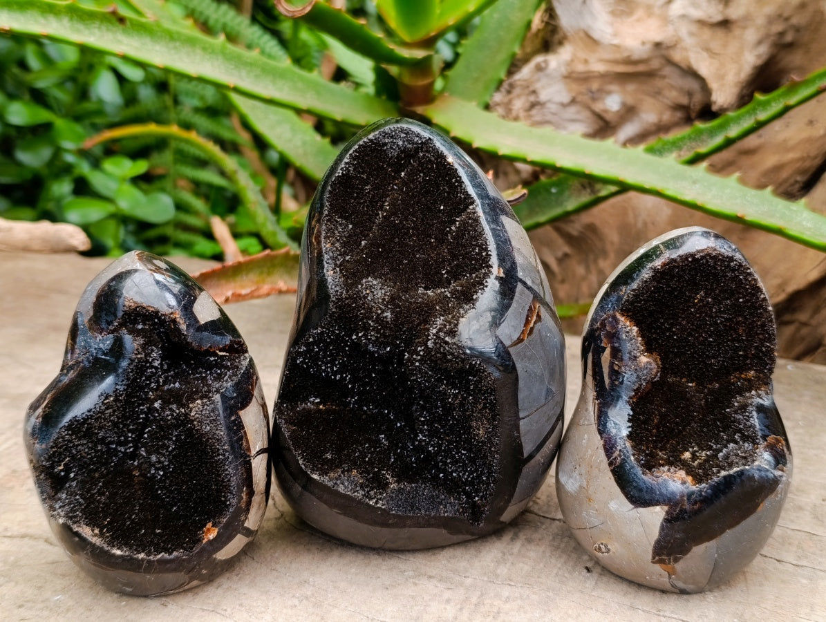 Polished Septerye Sauvage "Dragons Egg" Geode Standing Free Form x 3 From Mahajanga, Madagascar