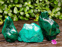 Polished Flower Banded Malachite Free Forms x 3 From Congo