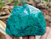 Polished Flower Banded Malachite Free Forms x 3 From Congo