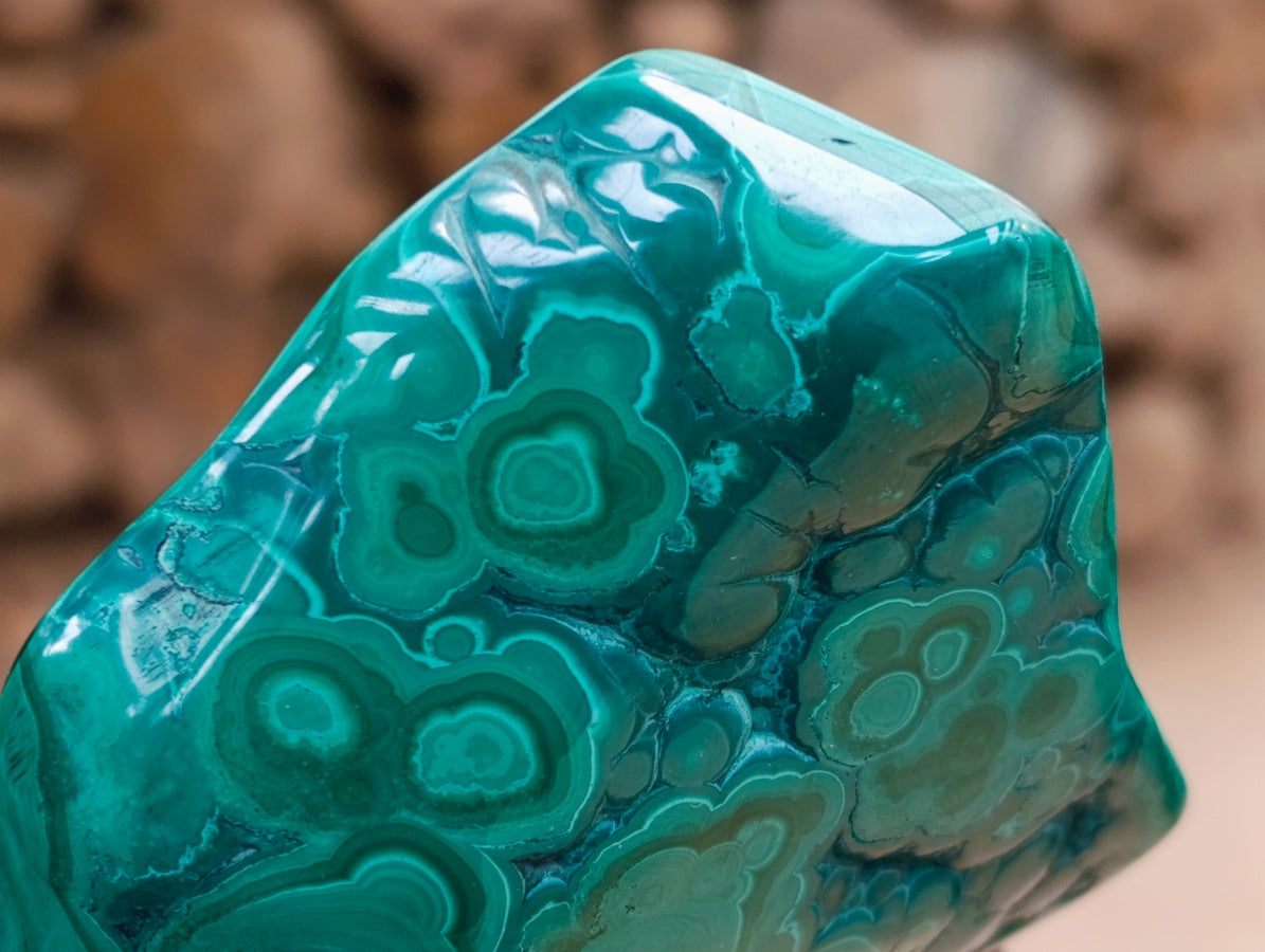 Polished Flower Banded Malachite Free Forms x 3 From Congo