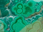 Polished Flower Banded Malachite Free Forms x 3 From Congo - Toprock Gemstones and Minerals 