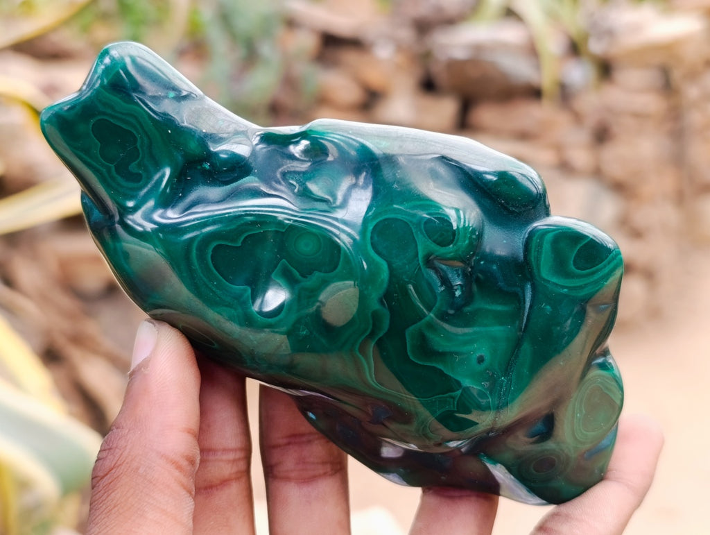 Polished Flower Banded Malachite Free Forms x 3 From Congo - Toprock Gemstones and Minerals 