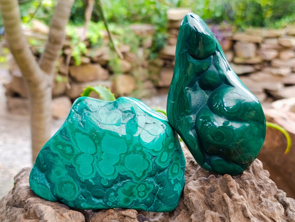 Polished Flower Banded Malachite Free Forms x 3 From Congo - Toprock Gemstones and Minerals 