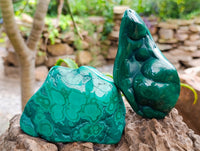 Polished Flower Banded Malachite Free Forms x 3 From Congo