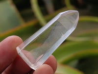 Polished Semi Optic Clear Quartz Jewellery Crystals x 20 From Madagascar