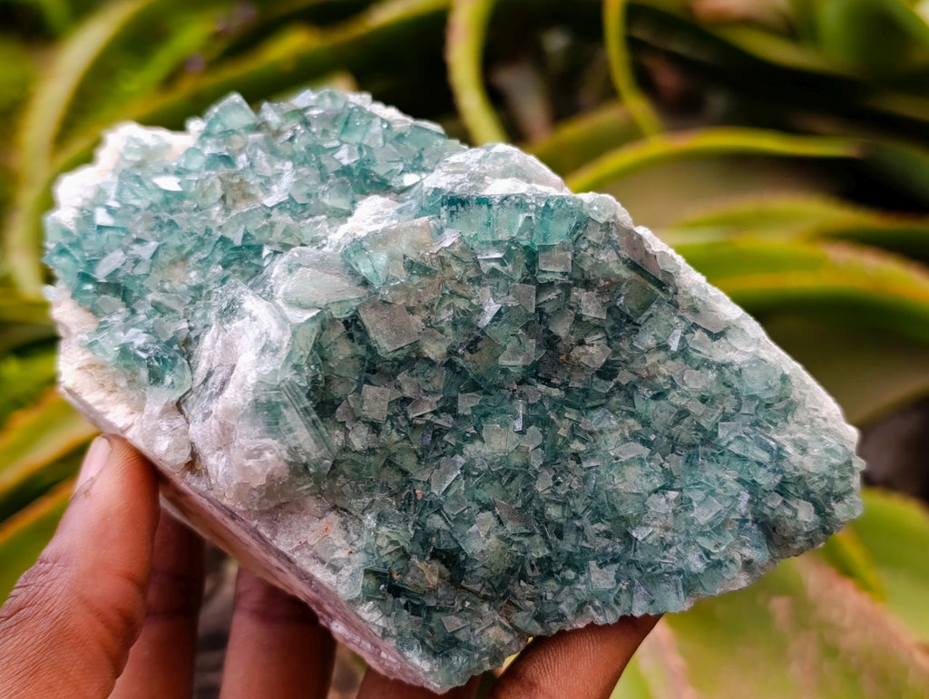 Natural Cubic Green Fluorite Cluster Specimens x 3 From Mandrosonoro, Madagascar
