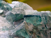 Natural Cubic Green Fluorite Cluster Specimens x 3 From Mandrosonoro, Madagascar