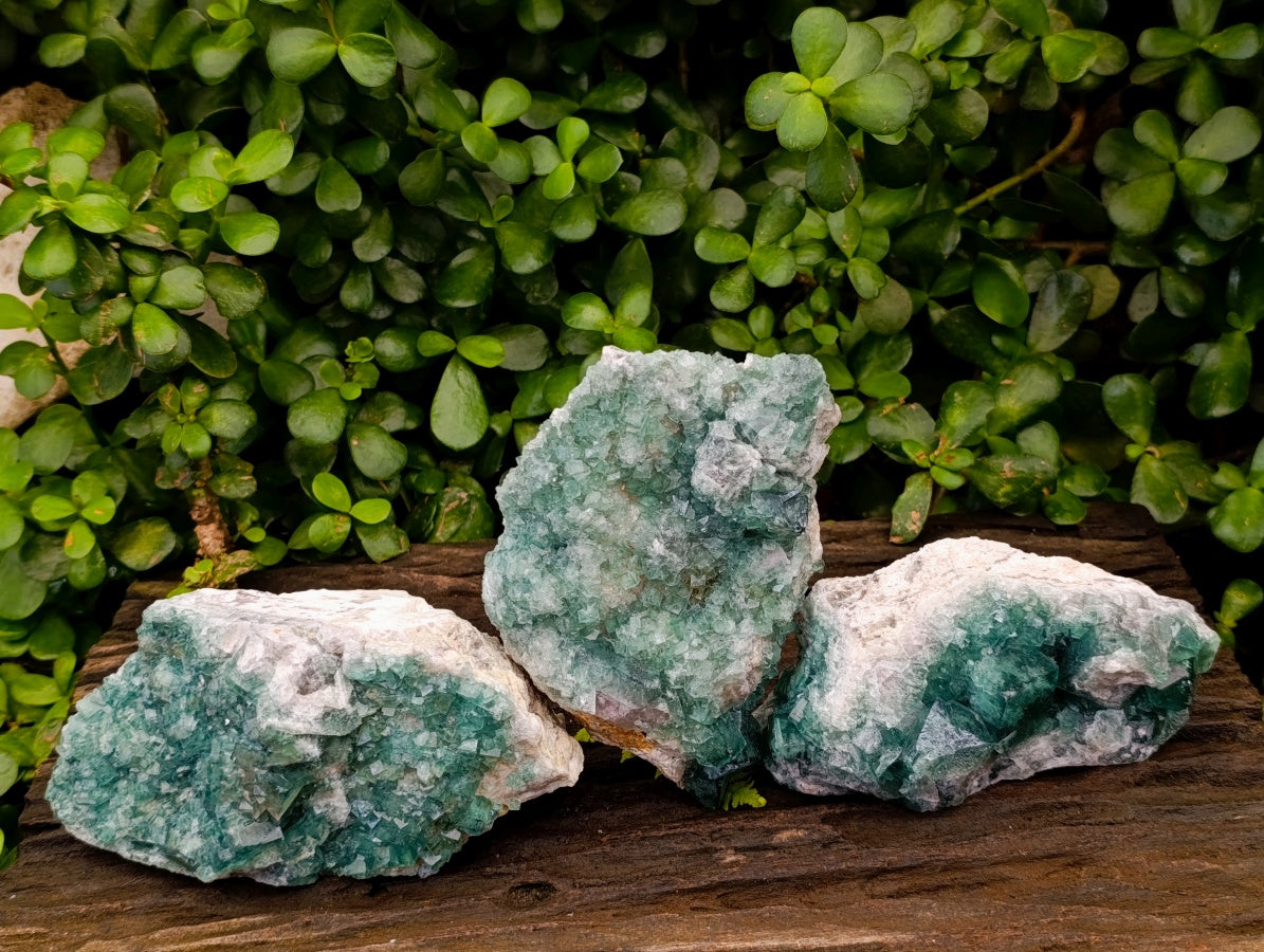 Natural Cubic Green Fluorite Cluster Specimens x 3 From Mandrosonoro, Madagascar